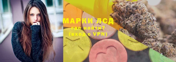 spice Вязники