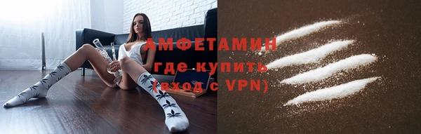 амф Вяземский