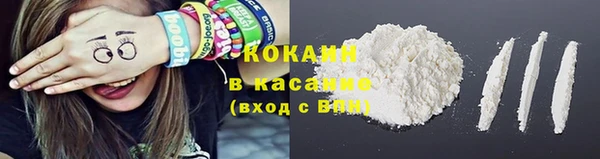 амф Вяземский