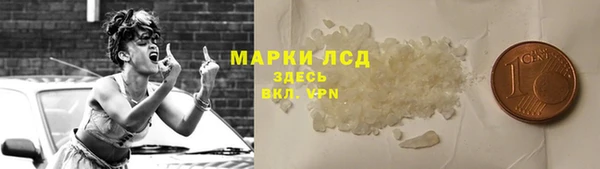 амф Вяземский