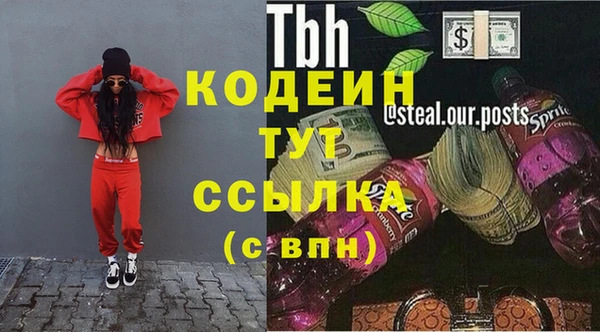 амф Вяземский