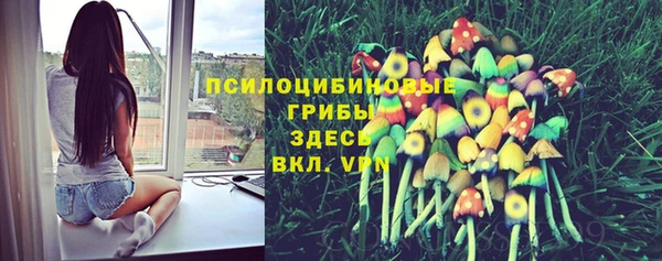spice Вязники