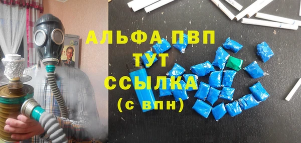 амф Вяземский
