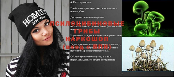 амф Вяземский