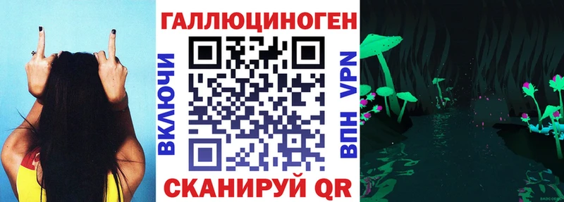 Купить где  Шатура  Псилоцибиновые грибы MAGIC MUSHROOMS 