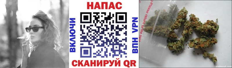 Купить закладки  Шатура  Бошки марихуана Ganja 